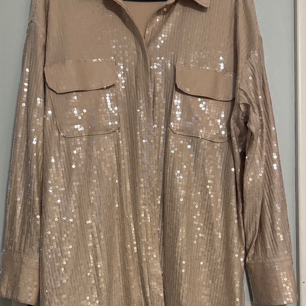 Rachel Zoe Tan Sequin Button Down blouse.